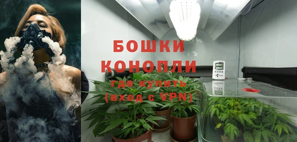 ALPHA PVP Белокуриха