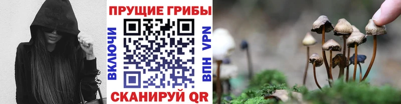даркнет сайт  Гремячинск  Галлюциногенные грибы MAGIC MUSHROOMS 